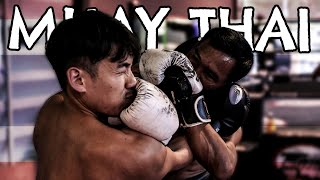 THEY BROKE ME  Muay Thai Training Camp in Bangkok 1 [upl. by Eblehs]