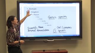 Classification amp Binomial Nomenclature [upl. by Kary]