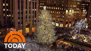 Meet the 2021 Rockefeller Center Christmas Tree [upl. by Ranjiv]