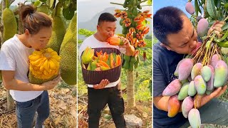 How to Chop Fruits on The Tree  Amazing Fruits Cutting Skills [upl. by Oilut70]