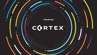 Cortex by Palo Alto Networks [upl. by Mirth]