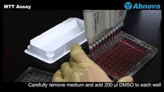 MTT Assay [upl. by Stanislaw]