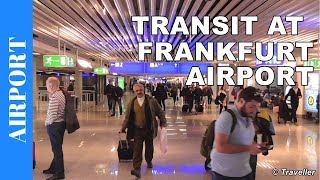 TRANSIT WALK AT FRANKFURT Airport FRA Terminal 1  Connection Flight Transfer Arriving amp Departing [upl. by Ap]