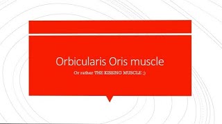 Orbicularis Oris  Simple and Easy [upl. by Towrey]