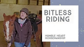 Understanding Bitless Riding [upl. by Dorren66]